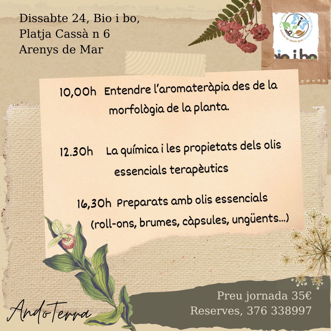 Aromaterapia morfològica, alquímia