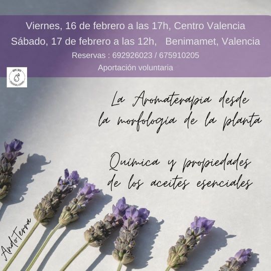 Aceites esenciales, propiedades i beneficios