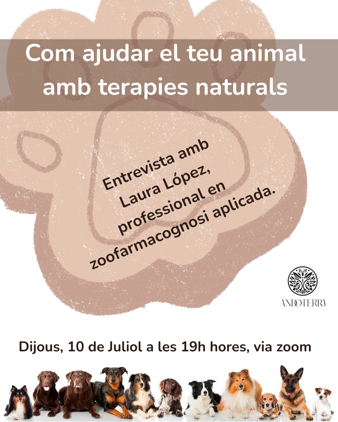 Com ajudar el teu animal amb teràpies naturals