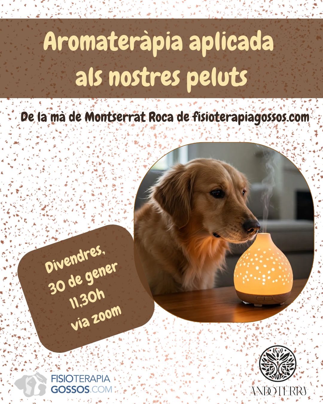 Aromateràpia aplicada als nostres peluts