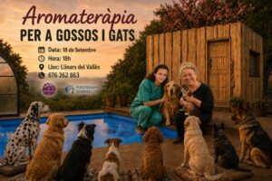 Aromaterapia gossos i gats